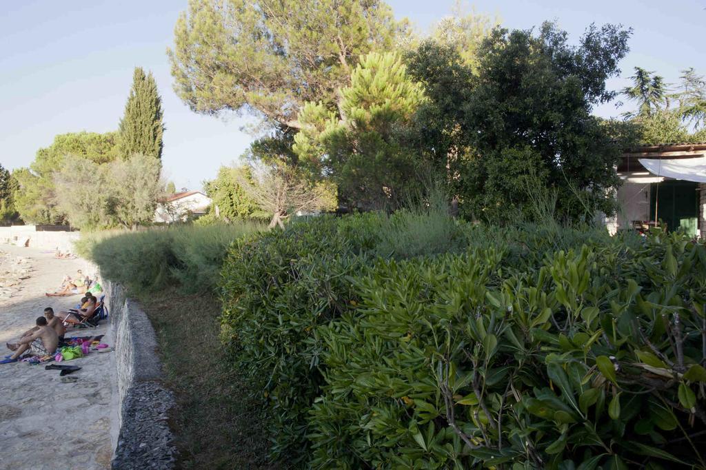 Holiday Home Dajla 35 Novigrad Istria Exterior foto